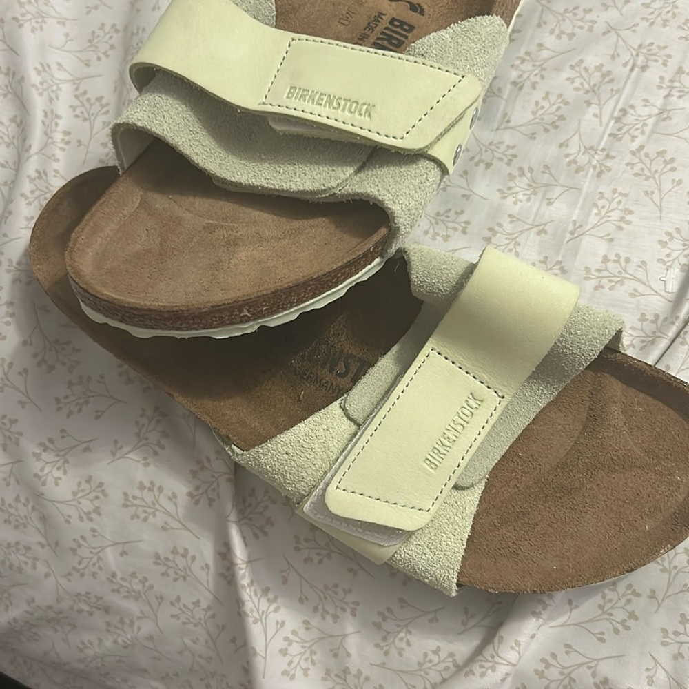 Birkenstock Suede Sandals in Light Green and Brown